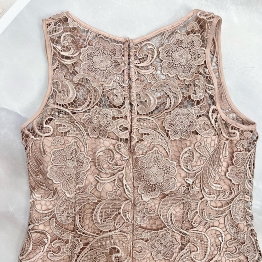 NWOT Adrianna Papell Lace Illusion Dress - Picture 3 of 8